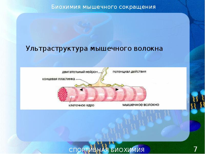 Биохимия 10 класс презентация