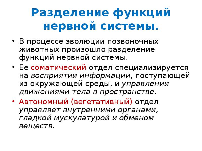 Разделение ролей. Разделение функций нервной системы. Разделение нервной системы в процессе эволюции. Разделение нервной системы на соматическую и вегетативную. Разделение функций.