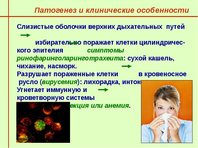 Грипп и парагрипп презентация