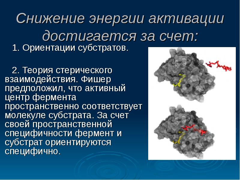 Сокращение энергии. Активный центр понижает энергию активации. Стерические взаимосвязи. Стерический пространственный эффект. Снижение энергии.