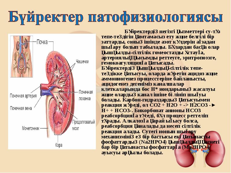 Бүйрек коликасы презентация