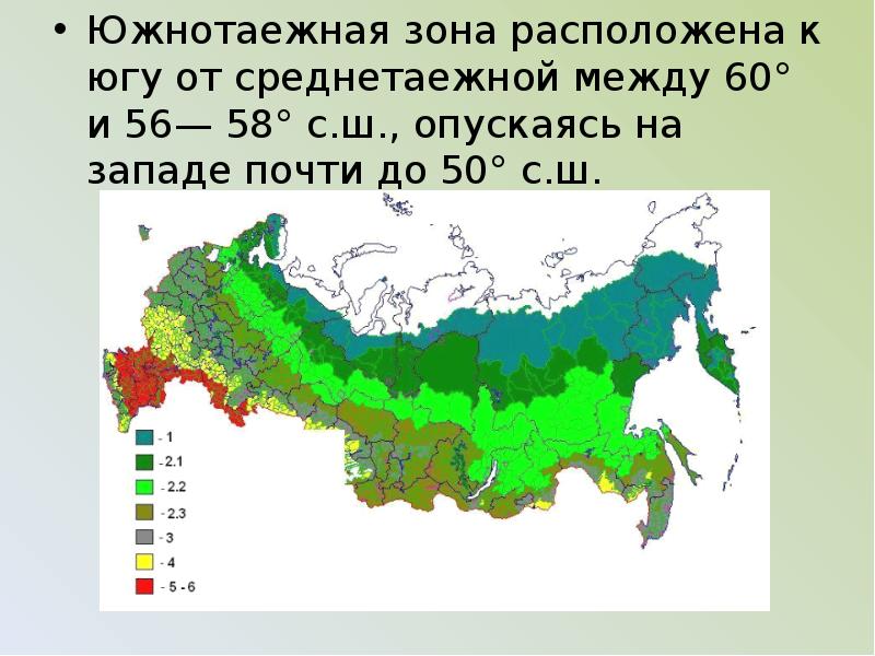 Зона тайги карта