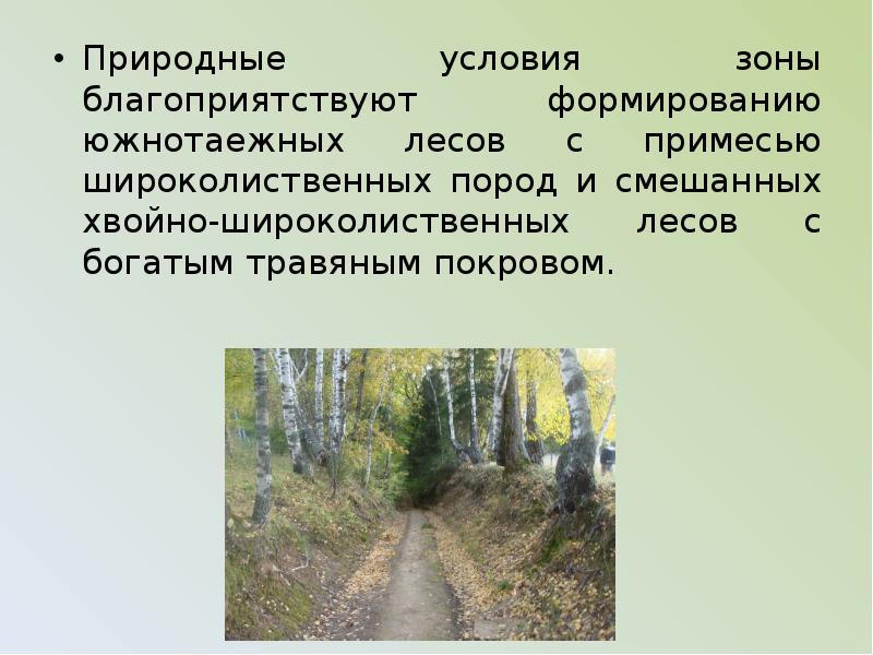 Условия леса. Условия природных зон. Природные условия смешанных и широколиственных лесов. Смешанные и широколиственные леса условия формирования. Широколиственные леса природные условия.