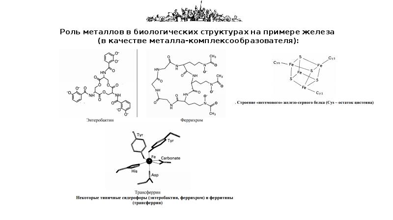 Координационные соединения