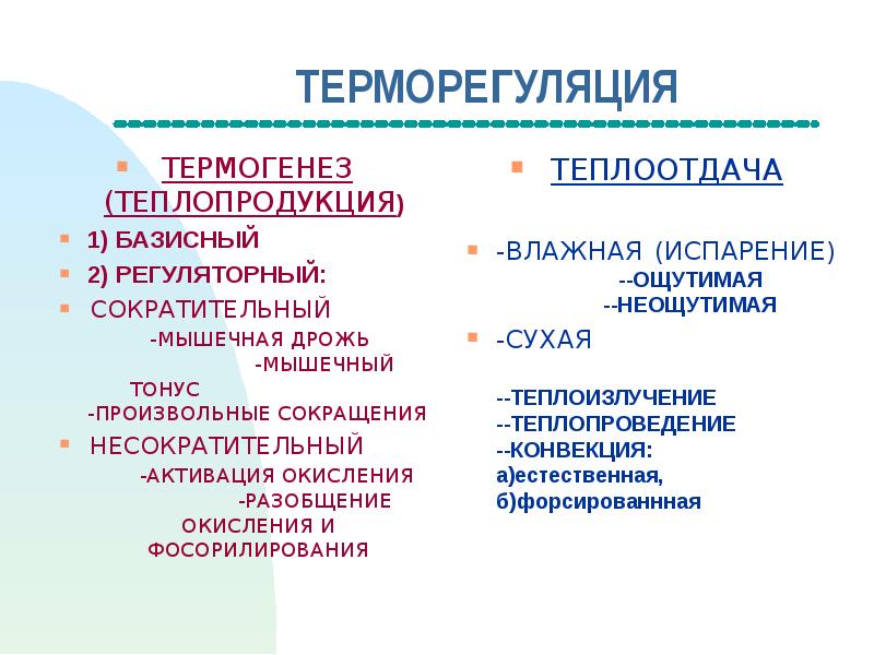 Терморегуляция физиология презентация