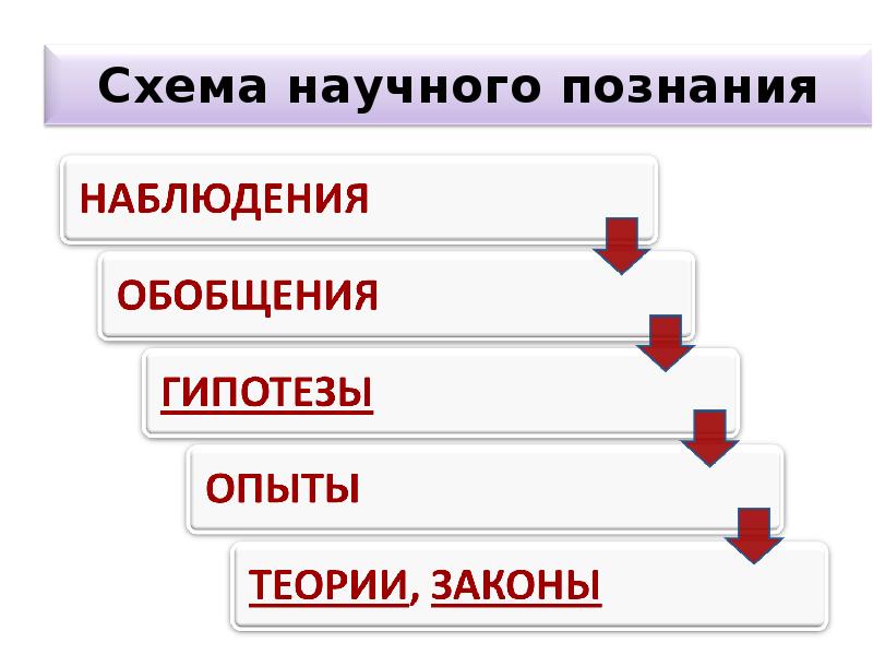 Презентация познавательная и коммуникативная деятельность