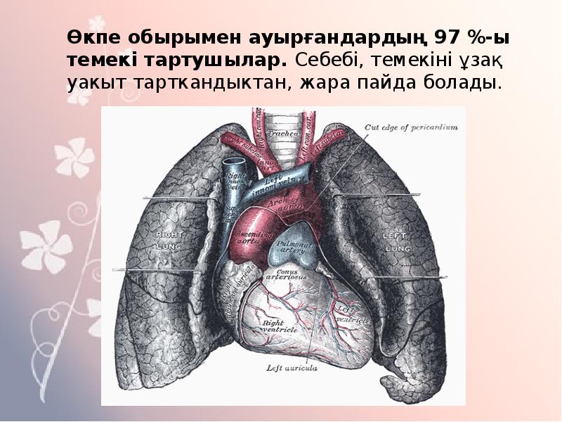 Тыныс йоко картинки на башкирском языке