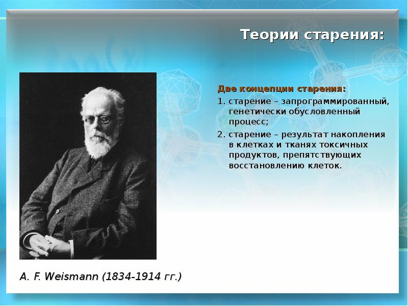 Теории старения. Вейсман теория старения. Август Вейсман теория старения. Теория запрограммированного старения. Теории старения презентация.