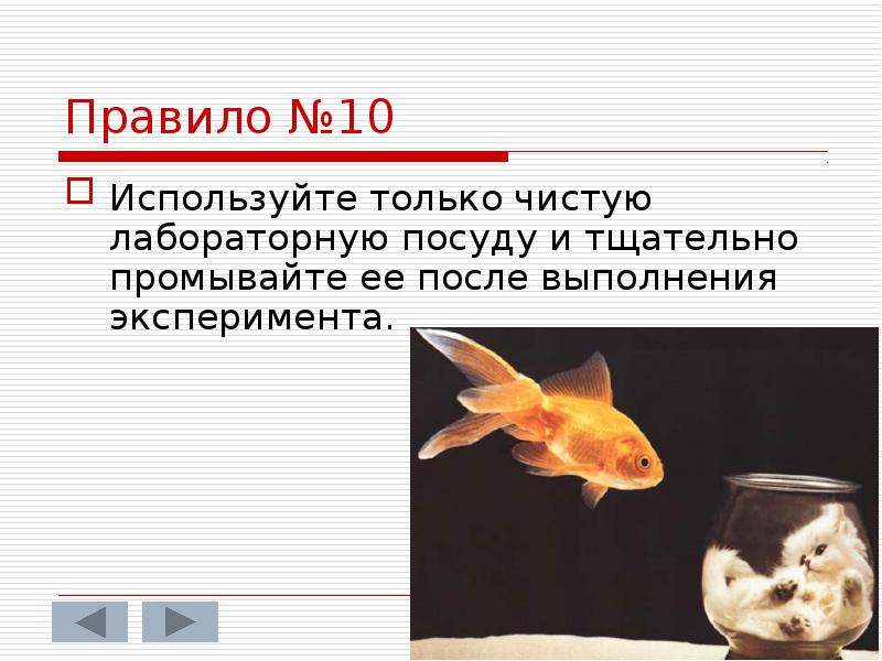 10 используется. 10 используется. Контрольные упражнения для оценки выносливости. 10 используется. Инвентарь для челночного бега.
