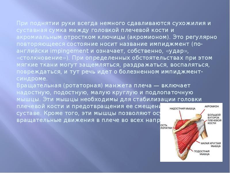 Переломы лопатки презентация