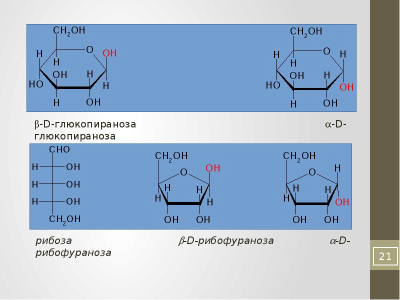 Рибоза реакция гидролиза. Рибофураноза и рибоза. Б Д рибофураноза. Бета-d-рибофуранозы. Рибоза реакции.