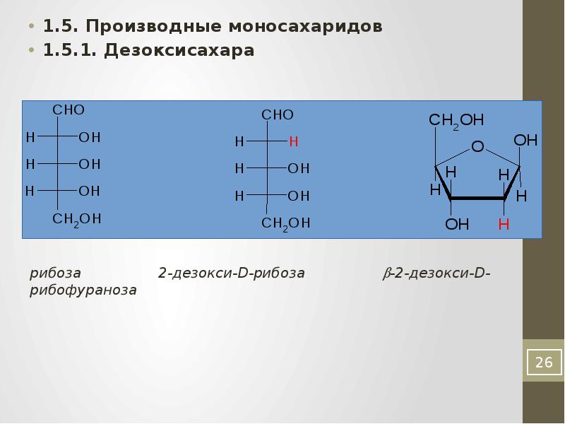 Рибоза биологическая роль. Шестиуглеродный моносахарид. 2-Дезокси-d-рибоза. Осмоление моносахаридов. Строение производных моносахаридов дезоксисахара аминосахара.