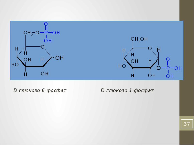 Формула фосфата. Глюкозо 6 фосфат в глюкозо 1 фосфат. Глюкозо 1 фосфат формула линейная. D глюкозо 1 фосфат фосфоглюкомутаза. Глюкозо 6 фосфат формула.