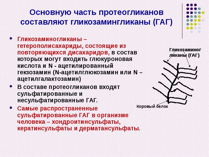 Синтез протеогликанов схема