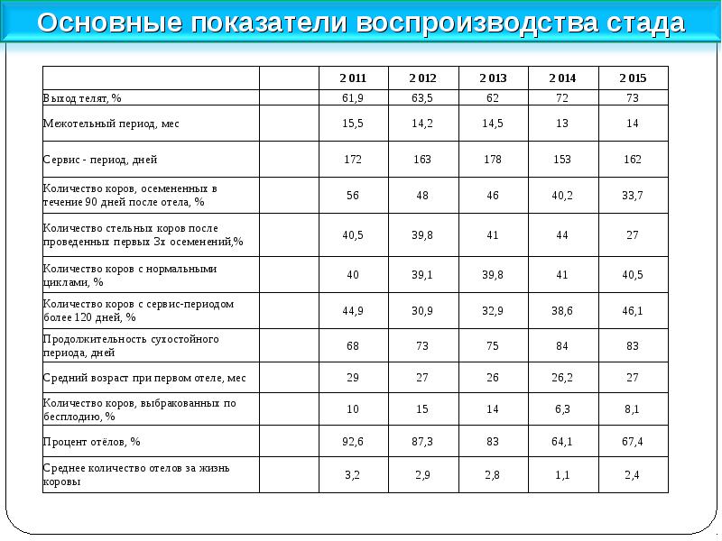 Перевод в основное стадо. Отчет по воспроизводству стада КРС. Показатели воспроизводства коров. Показатели воспроизводства стада. Показатели воспроизводство скота.