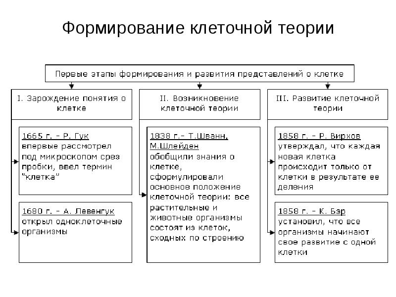 Теория 9. Основной этап развития клеточной теории. Клеточная теория таблица. Основные этапы развития клеточной теории. История создания клеточной теории таблица.