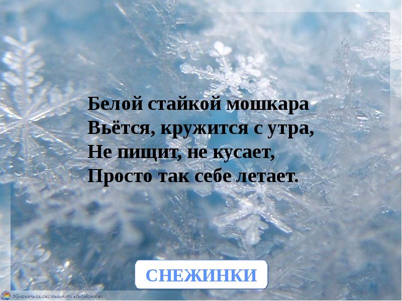 Белые снежинки кружатся. Снежинки кружатся с утра. Утро снежинки. Стихотворение белые снежинки кружатся с утра.