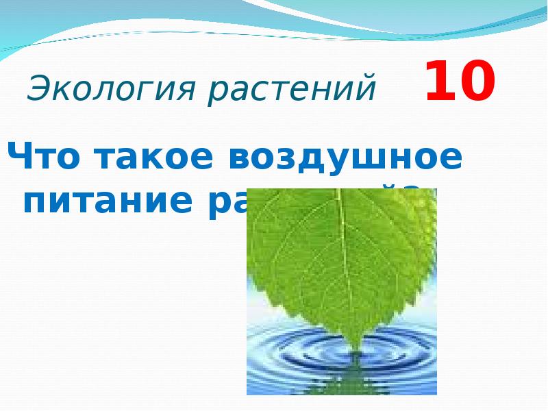 Проект по экологии 11 класс. Презентация по экологии 10-11 класс. Воздушное питание. Своя игра по экологии 10-11 класс.