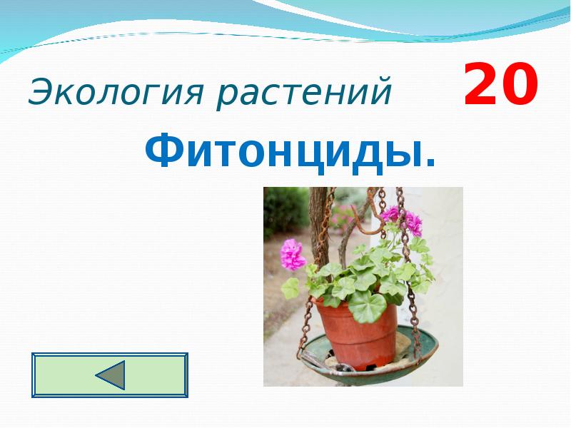 Экология растений презентация. Презентация по экологии 10-11 класс. Экология растений 2 класс. Экология презентация 10 класс.