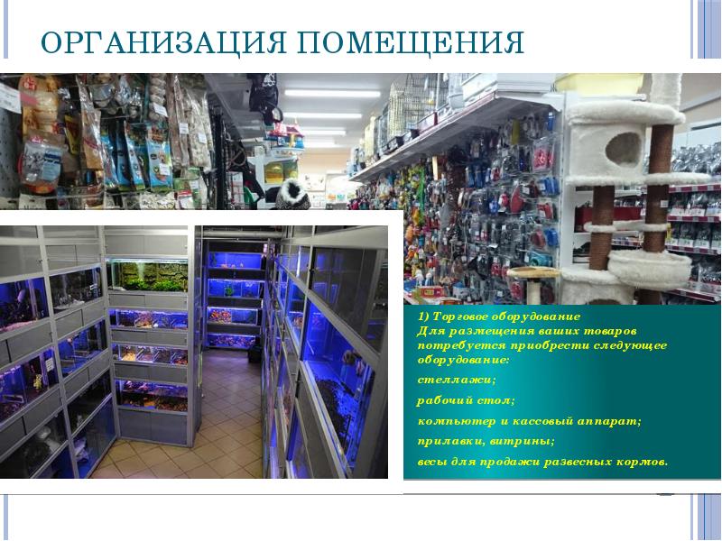 Открытие зоомагазина бизнес план презентация