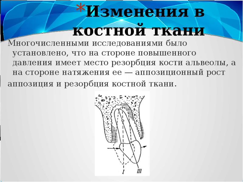 Биомеханика в ортодонтии презентация