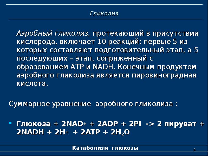 Продукты образующиеся при гликолизе