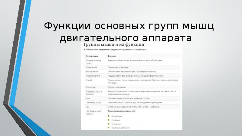 Основные функции ответа. Функции основных групп мышц двигательного аппарата. Основные функции двигательного аппарата.