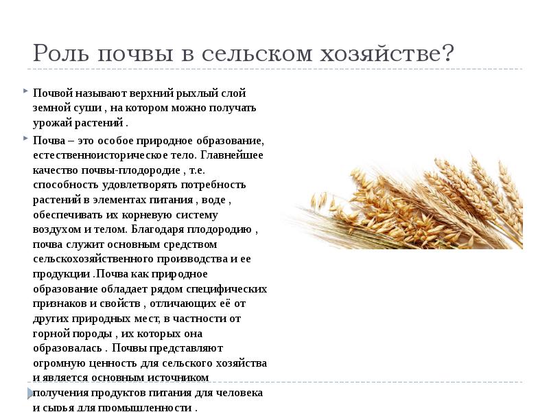 Значение почвы. Роль почвы. Почвоведение в сельском хозяйстве. Роль почв в сельскохозяйственном производстве. Значение почвы в сельском хозяйстве.