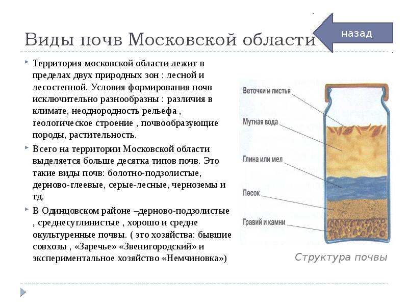 Температура почвы в подмосковье