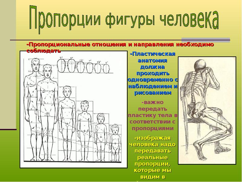 Укажите виды рисунка. Сообщение на тему 