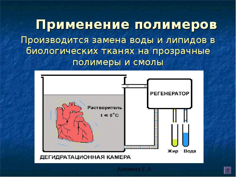 Обмен жидкостями. Липиды полимеры. Способы применения полимеров.