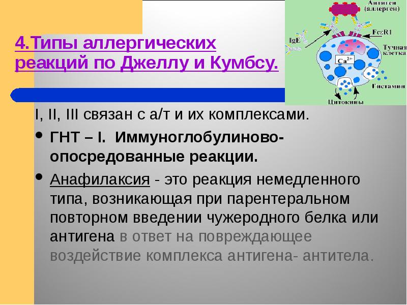 Виды аллергических реакций схема