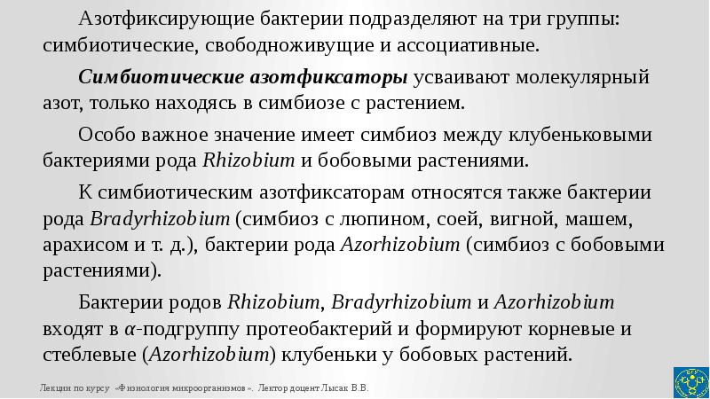 Симбиотическая азотфиксация. Ассоциативные азотфиксаторы. Ассоциативные бактерии. Ассоциативные азотфиксирующие бактерии. Свободноживущие бактерии азотфиксаторы.