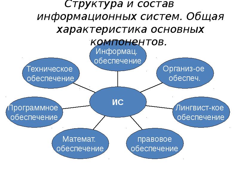 Структура информационной системы