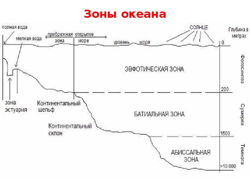 Глубина отметить. Зоны мирового океана схема. Экологические зоны мирового океана. Эвфотическая зона. Зоны океана по глубине.