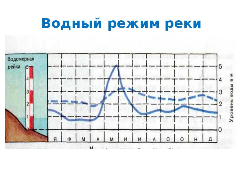 Фазы водного режима реки расставьте подписи на изображении