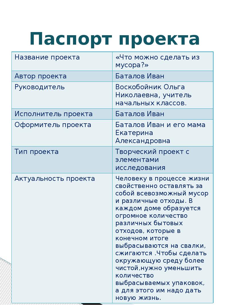 Как выглядит паспорт проекта