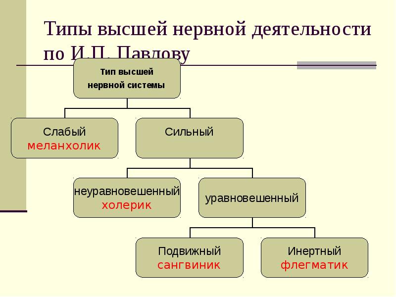 Тип высшей нервной деятельности сильные уравновешенные