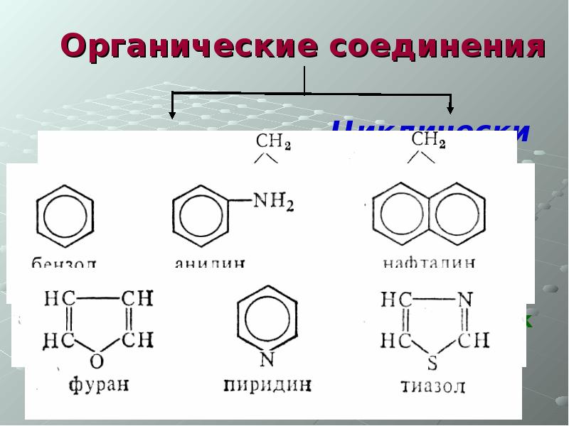 Органические соединения углерода