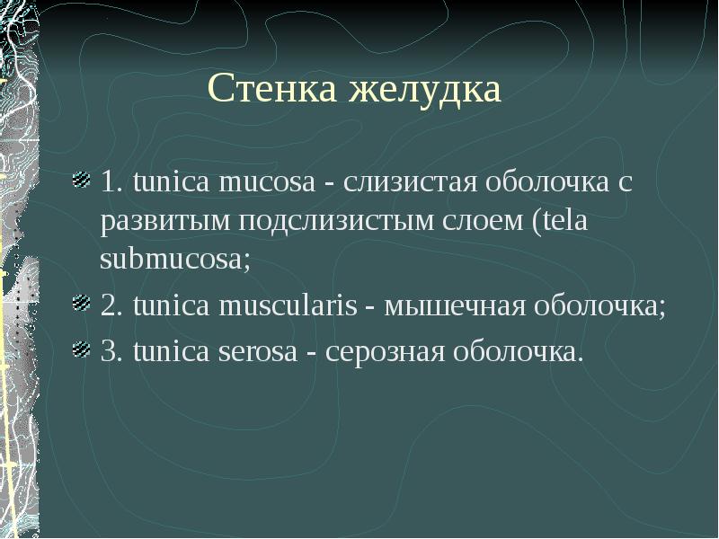 Язвенная болезнь 12 перстной кишки скачать презентацию