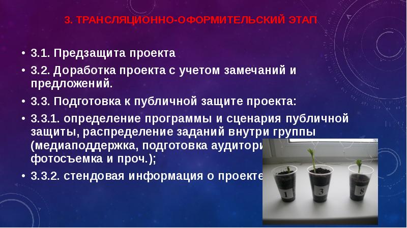 Предзащита индивидуального проекта в 10 классе как проходит