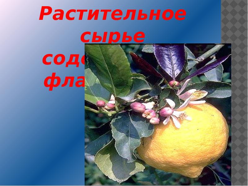 Сырье содержащее флавоноиды. Растительные флавоноиды для человека презентация по химии.