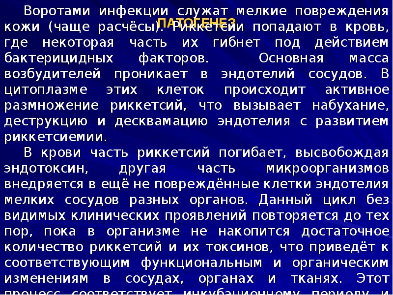 Сыпной тиф презентация