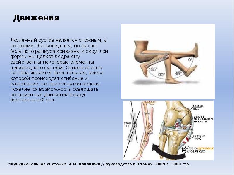 Колена карта дня