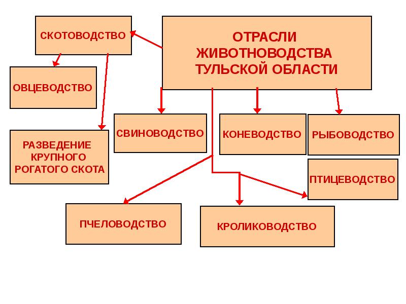 Какое слово лишнее коневодство свиноводство птицеводство плодоводство