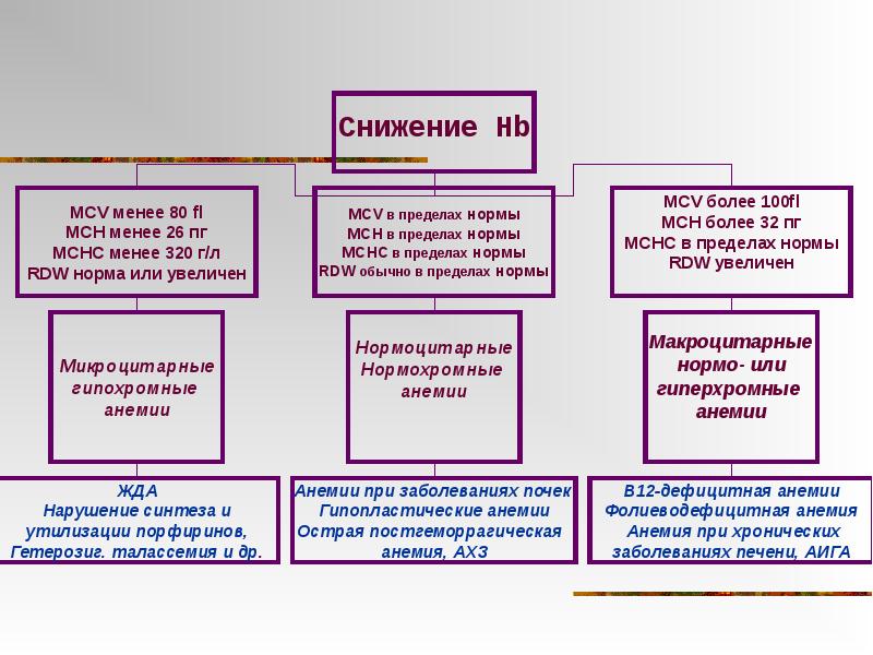 Реферат: Гематологические анализаторы