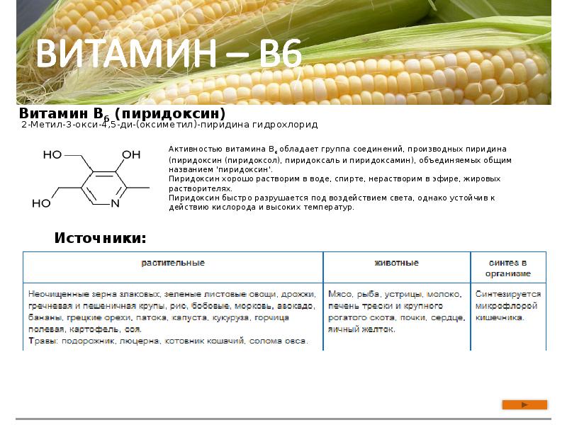 Биороль витаминов проект