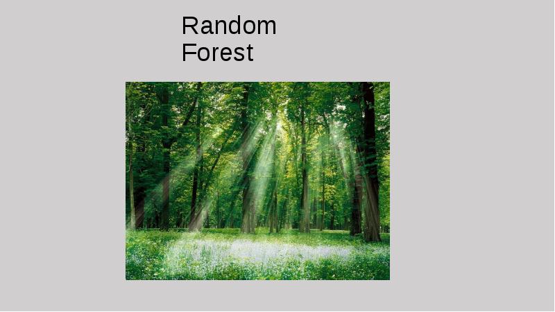 Random forest