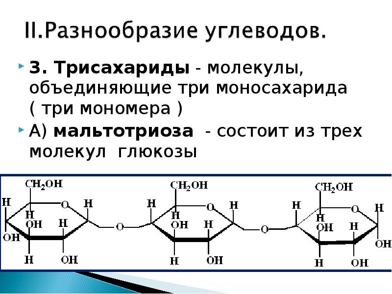 Мономеры белков и углеводов