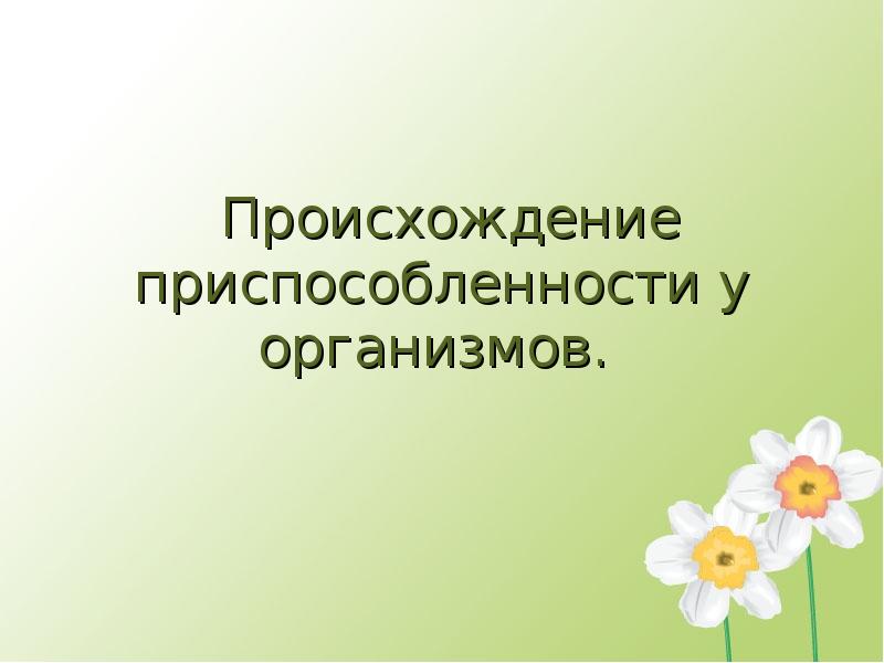 Тест приспособленность организмов. Сообщение о приспособлениях организмов. Приспособление организмов к среде обитания презентация. Виды приспособленности организмов.